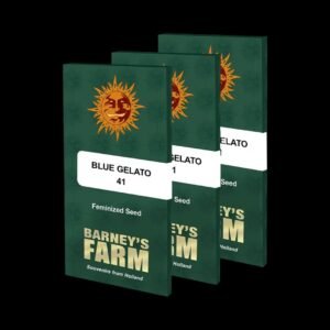 Barney's Farm Seeds – Blue Gelato 41

HomeseedsBarney's Farm Seeds – Blue Gelato 41

Barney's Farmseeds

Barney's Farm Seeds – Blue Gelato 41

40% Sativa - 60% Indica



Seed countOption auswählen5 Samen

Barney's Farm Seeds - Blue Gelato 41 quantity

Add to Cart

Pay securely with

These products are often bought together

Barney's FarmBarney's Farm Seeds - Glookies

€ 48.60

Select versionThis product has several variations. The options can be selected on the product page.

Barney's FarmBarney's Farm Seeds – Mimosa X Orange Punch

€ 48.60

Select versionThis product has several variations. The options can be selected on the product page.

Seeds with the following properties:

THC: 25%CBD: 0.5%40% Sativa – 60% Indica600-700g/m²150 cm63/70 days

Blue Gelato 41 is our sensational Blueberry supercross from the West Coast. It was created by crossing the renowned Blueberry genetics w
