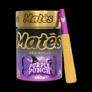 Muha 3g Pre-Rolls · Infused

Purple Punch