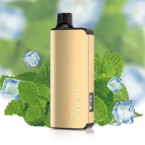 ALIBARBAR 9000-Puffs Vape Cool-Mint