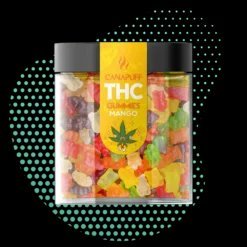THC Gummies – Mango